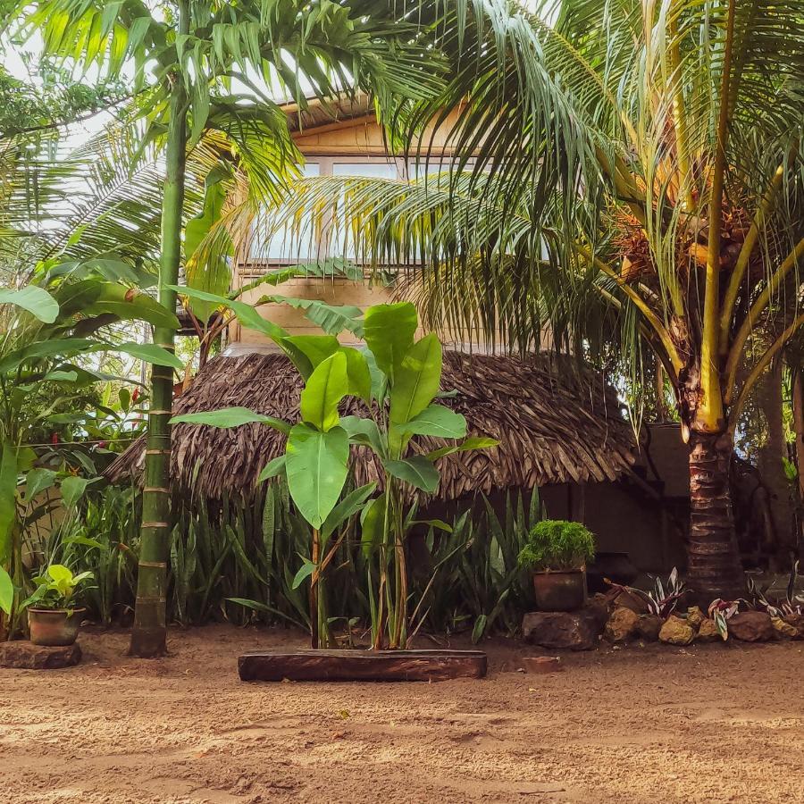 Monsoon Eco Resort - Whisky Point Arugambay Pottuvil Dış mekan fotoğraf