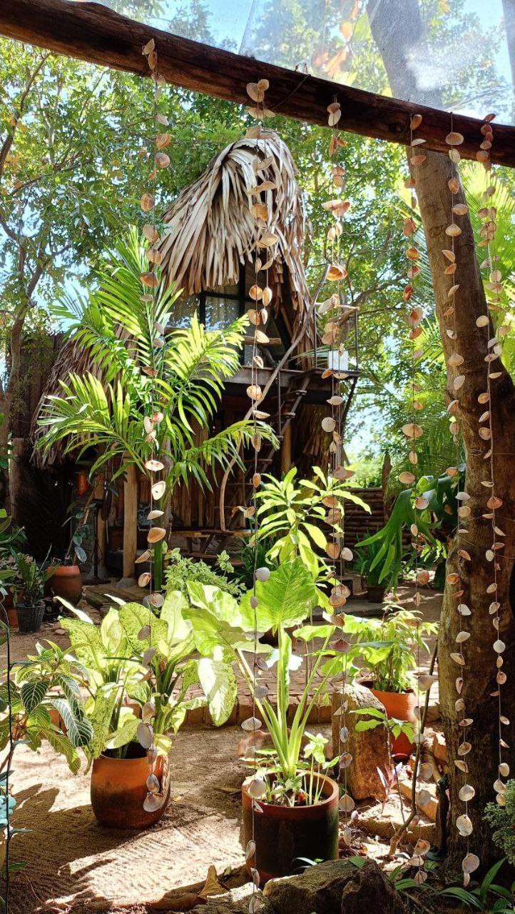 Monsoon Eco Resort - Whisky Point Arugambay Pottuvil Dış mekan fotoğraf
