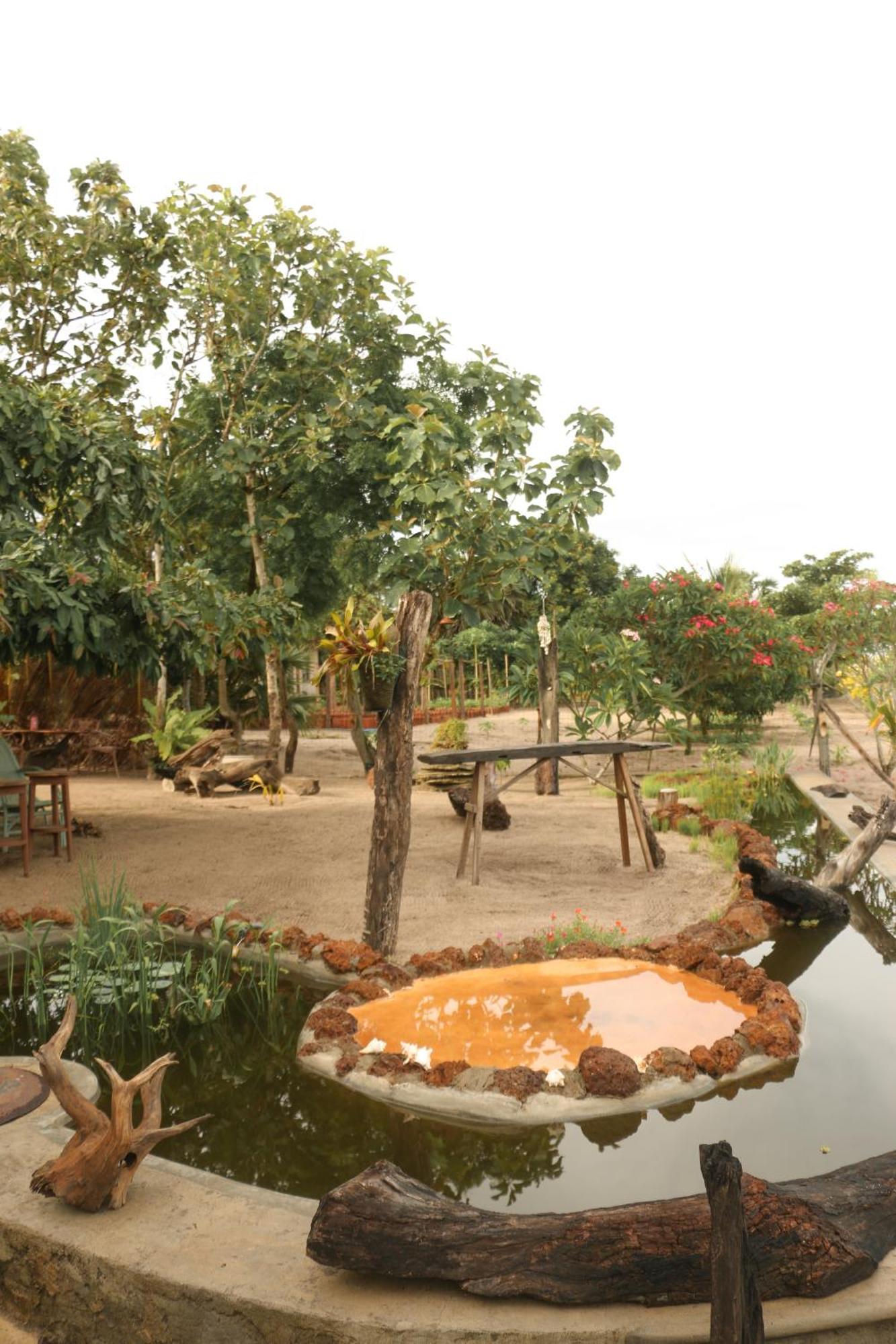 Monsoon Eco Resort - Whisky Point Arugambay Pottuvil Dış mekan fotoğraf