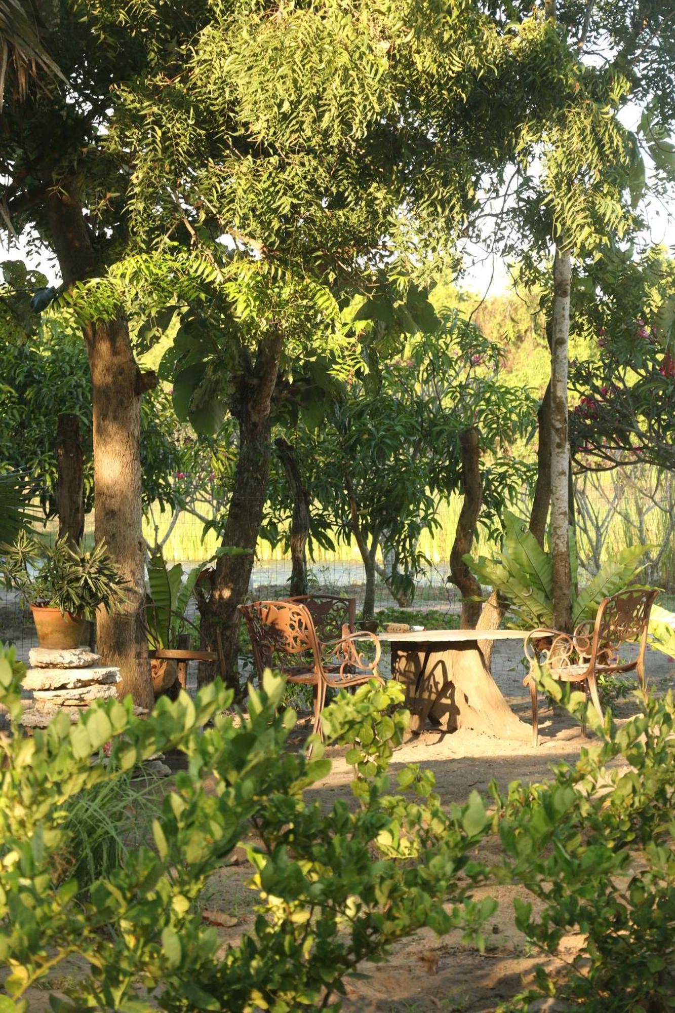Monsoon Eco Resort - Whisky Point Arugambay Pottuvil Dış mekan fotoğraf