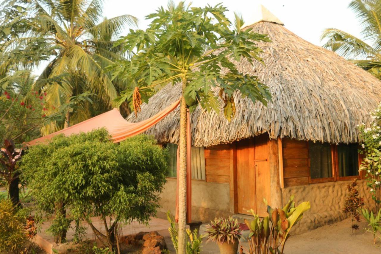 Monsoon Eco Resort - Whisky Point Arugambay Pottuvil Oda fotoğraf